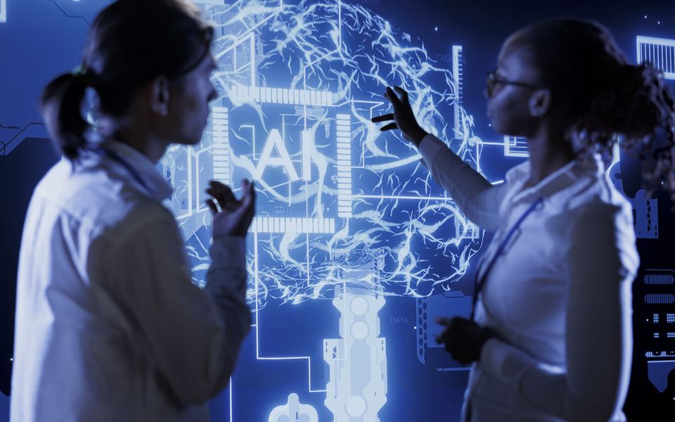 Two specialists talking through a large diagram of a model's architecture.